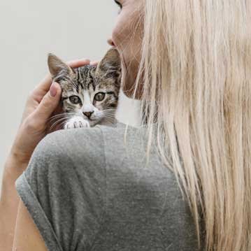 Desamiantado de nave industrial en España